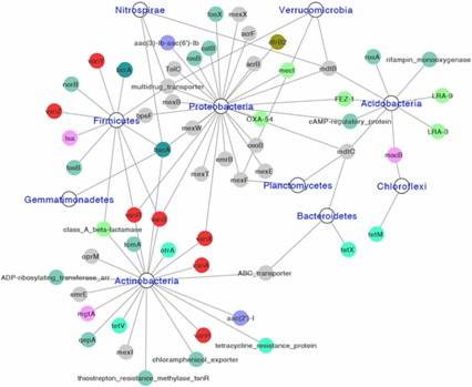 Fig 3. Network representation of identified hosts of ARGs at the phylum level, with different colors indicating various classes of ARGs. (Qian et al., 2021)